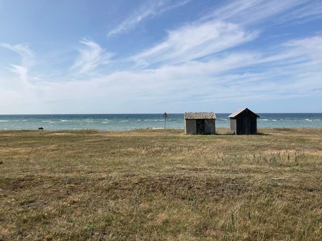 Två väderbitna fiskebodar i trä på en gräsbevuxen strandäng vid havet, med slöjmoln på himlen.