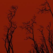 Cover for Solace