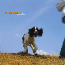 Cover for Rise & Shine