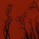 Cover for Solace